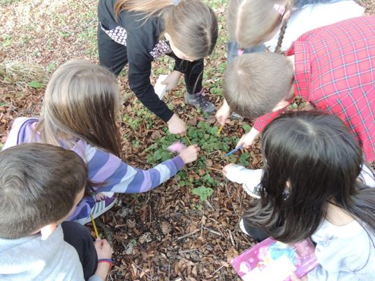 D:\Podaci 04.11\Slike\134NIKON\DSCN8495.JPG